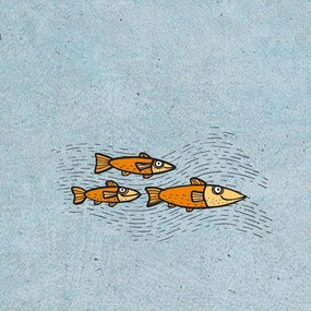 Pucleso - Pod hladinou