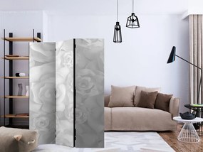 Artgeist Paraván - Plaster Flowers [Room Dividers]