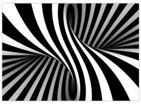 Abstraktní obraz so zebrymi pruhmi (70x50 cm)