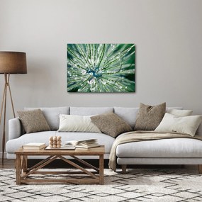 Obraz - Makro snímka kvetu (70x50 cm)