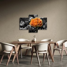 Obraz kvetu (90x60 cm)