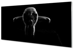 Obraz plexi Žena čiernej a bielej 100x50 cm