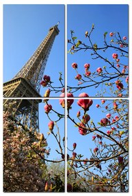 Obraz na plátne - Eiffelova veža v jarnom období - obdĺžnik 734D (120x80 cm)