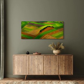 Obraz - Polia, lúky (120x50 cm)