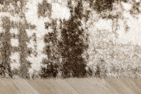 Koberec Shaggy Puffy P149 béžový / hnedý