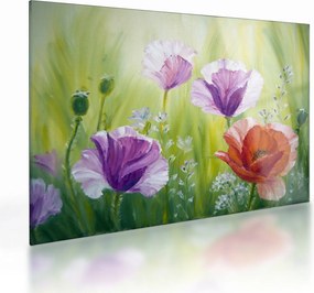 Sklenený obraz - Vlčie maky (70x50 cm)
