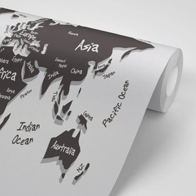 Samolepiaca tapeta jedinečná čiernobiela mapa