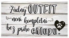 Bohemia Gifts Dekoračný obrázok - Outfit chlupy