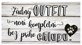 Bohemia Gifts Dekoračný obrázok - Outfit chlupy