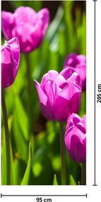 Fototapeta na dvere - Tulipány na lúke (95x205cm)