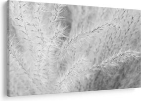 Obraz - Pampas grass N⁰1 (90x60 cm)