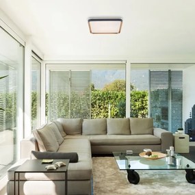 Rabalux 71029 - LED stropné svietidlo LIATRIS LED/26W/230V 3000K