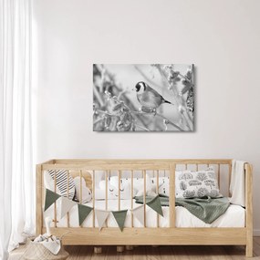 Obraz - Vtáčik v zime (90x60 cm)