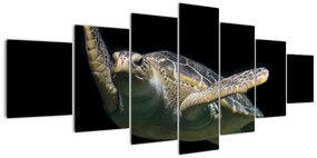 Obraz plávajúce korytnačky