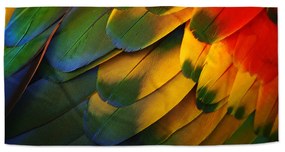Sablio Uterák Farebné perie - 50x100 cm