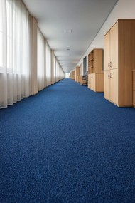 Beaulieu International Group, Koberec metráž Primavera 586, na mieru, šíře 4m, modrá, resine, chodba / predsieň