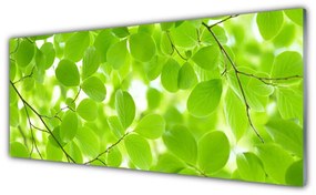 Obraz na akrylátovom skle Listy príroda 125x50 cm