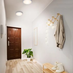 Briloner 7141-014 - LED Stropné svietidlo FIRE LED/21W/230V 3000K