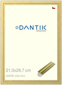 DANTIK rám na obraz 21x29,7 | ANDRE zlatá (Sklo Čiré)