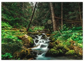 Sklenený obraz potoka v lese (70x50 cm)