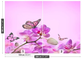 Fototapeta Vliesová Orchid motýľ 104x70 cm