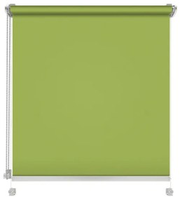 Gario Roleta Mini Standard Štruktúrovaná Jarná zelená Šírka: 47 cm, Výška: 150 cm
