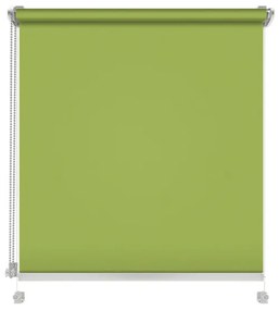 Gario Roleta Mini Standard Štruktúrovaná Jarná zelená Šírka: 71 cm, Výška: 220 cm