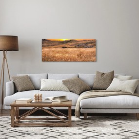 Obraz pole (120x50 cm)