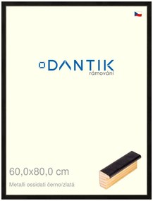 DANTIK rám na obraz 60x80 | Metalli oidati černozlatá (Plexi Čiré)