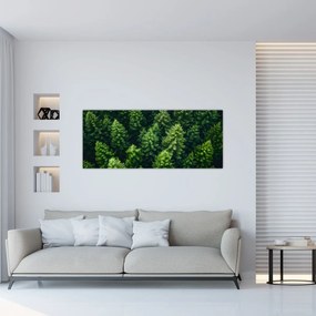 Obraz - Les (120x50 cm)