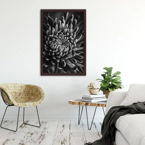 Gario Plagát Čiernobiely kvet Farba rámu: Bez rámu, Rozmery: 20 x 30 cm