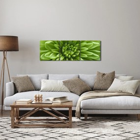 Obraz - Makro snímka rastliny (s hodinami) (90x30 cm)