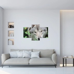 Obraz - Portrét vlka (90x60 cm)