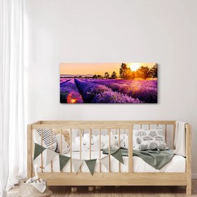 Obraz levanduľového poľa (120x50 cm)