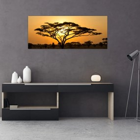 Obraz - Africká savana (120x50 cm)