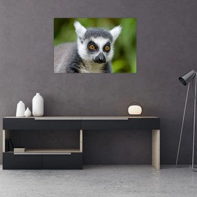 Obraz lemura (90x60 cm)