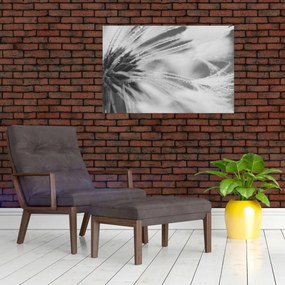 Obraz - Púpava (90x60 cm)