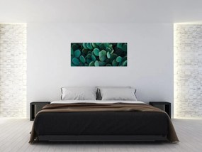 Obraz - Opuncie (120x50 cm)