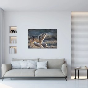 Obraz - Vyjúci vlk (90x60 cm)