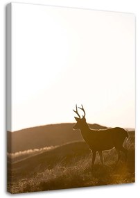 Obraz na plátně Jelení zvířata Louka - 40x60 cm