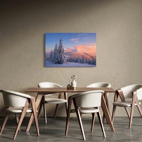 Obraz - Zimná krajina (90x60 cm)