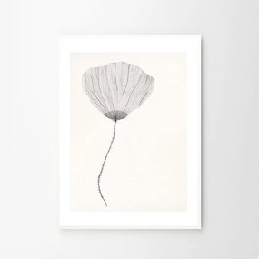 Moikka Plagát Poppy by Ana Frois A4 (21x27cm)