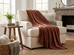 Mikroplyšová deka SOFT, hnedá Rozmer: 200 x 220 cm