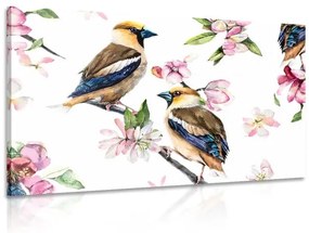 Obraz maľovanom zátišie s vtáčikmi