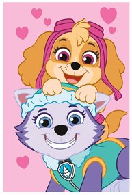 Fleecová detská deka 100x150 cm Paw Patrol – Jerry Fabrics