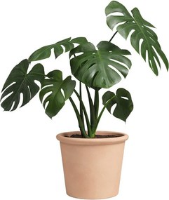 Kvetináč z terakoty ø 18 cm Saramago Cilindro – Artevasi