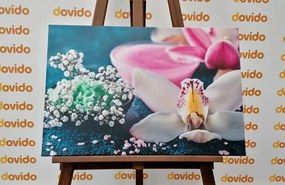 Obraz nádherná detailná orchidea Varianta: 120x80