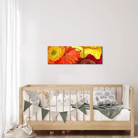 Obraz - Kvety Gerbery (s hodinami) (90x30 cm)