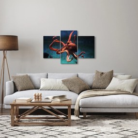 Obraz - Chobotnica (90x60 cm)