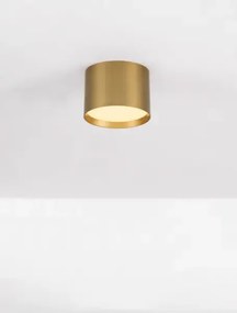 Minimalické bodové svietidlo Ziaza 12 Zlatá